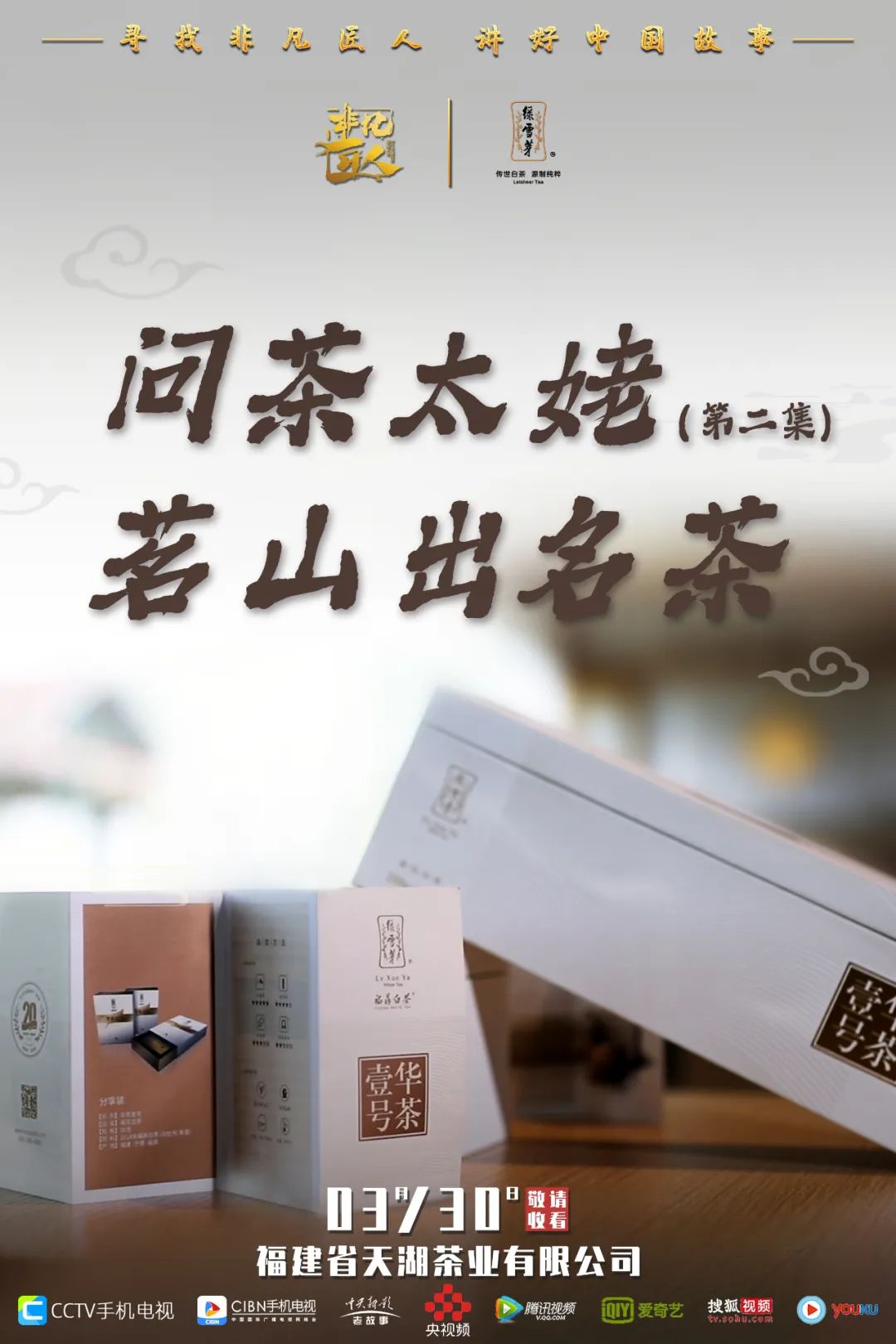 太姥山白茶 太姥山白茶